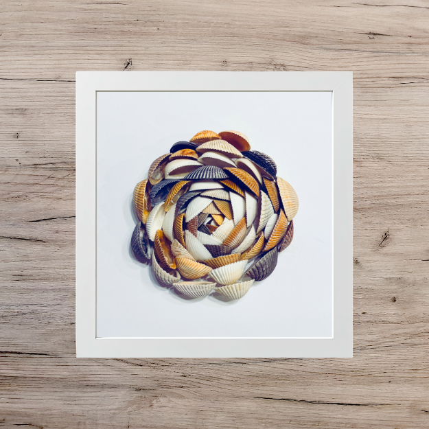 bivalve shell mandala in a white square frame