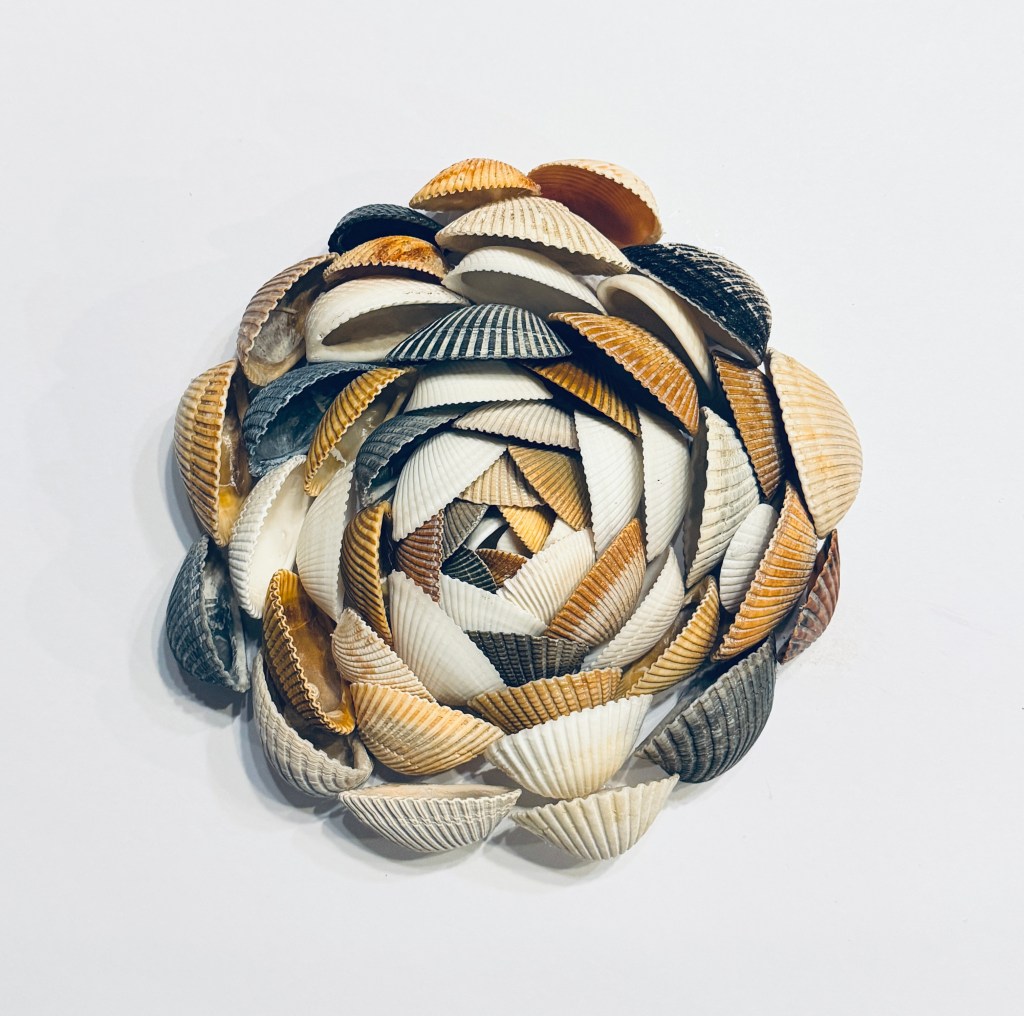 bivalve shell mandala